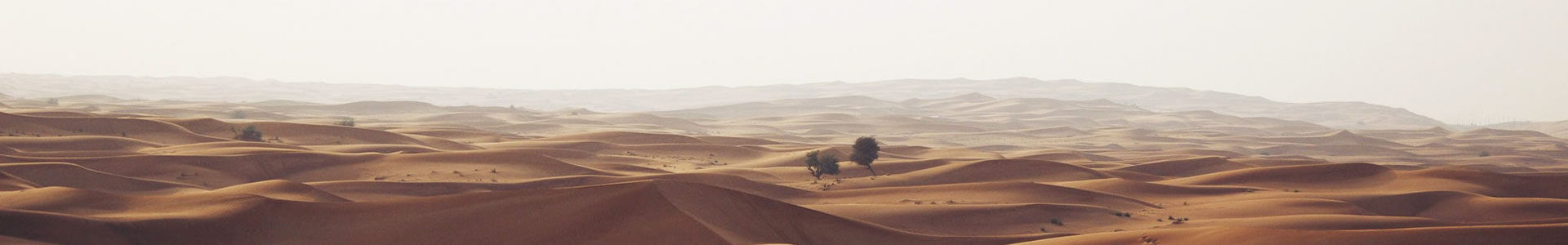 ɽ˫èϢƼ޹˾